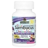 Nature's Answer, Kid's Sambucus Chewables, черная бузина с витамином C и цинком, 45 жевательных таблеток
