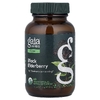 Gaia Herbs, черная бузина, 60 веганских капсул