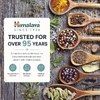 Himalaya, Curcumin Complete, Совместное решение, 60 вегетарианских капсул (Товар снят с продажи) 