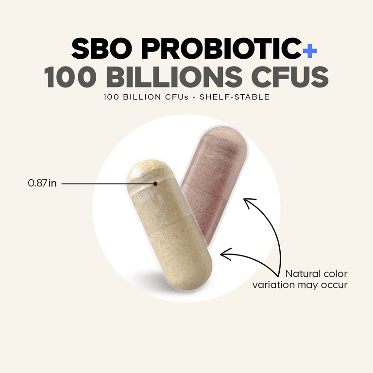 Codeage, SBO Probiotic+, пробиотики, 90 растительных капсул