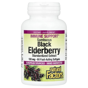 Natural Factors, Ягоды чёрной бузины Sambucus, 100 мг, 60 быстродействующих капсул (Товар снят с продажи) 
