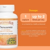 Natural Factors, CurcuminRich®, Theracurmin®, куркумин, 30 вегетарианских капсул (30 мг в 1 капсуле)
