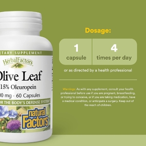 Natural Factors, HerbalFactors® листья оливы, 500 мг, 60 капсул