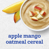 Gerber, 2nd Foods®, смеси для завтрака, для детей от 6 месяцев, овсянка с яблоком и манго, 2 шт. в упаковке, 113 г (4 унции) (Товар снят с продажи) 
