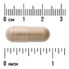 Swanson Vitamins, Корень крапивы двудомной, 500 мг, 100 капсул