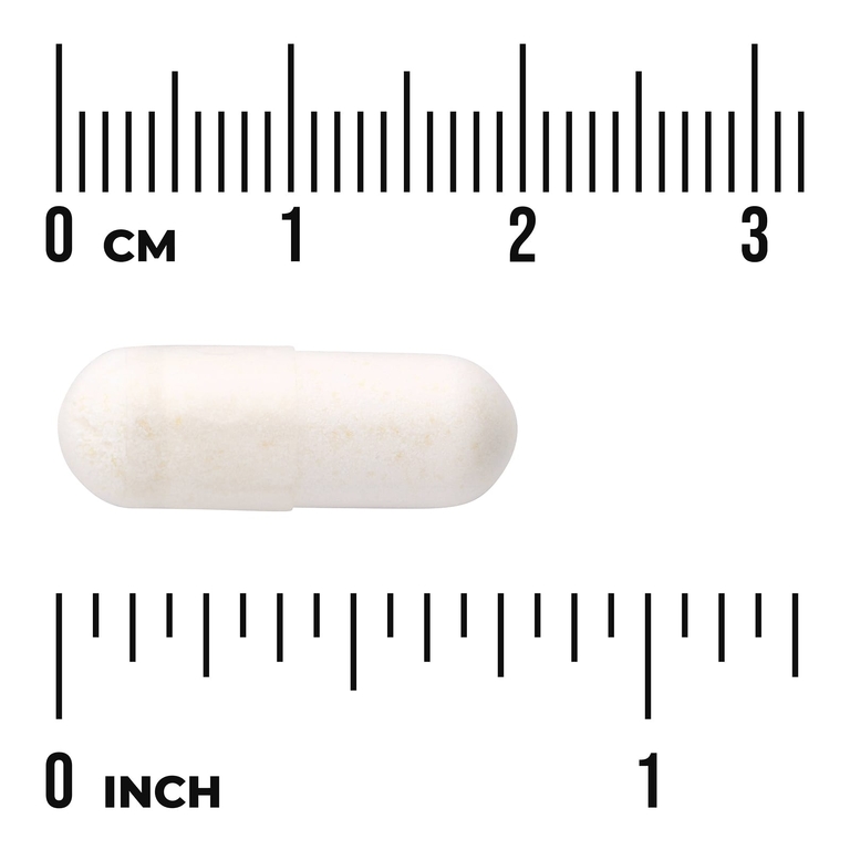 Swanson Vitamins, лактобактерии рамнозус с ФОС, 60 веганских капсул
