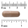 Swanson Vitamins, Расторопша, одуванчик и желтый док, 120 капсул