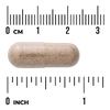 Swanson Vitamins, шелуха семян подорожника, 610 мг, 300 веганских капсул