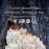 New Chapter, Holistic Nerve Health, 30 капсул