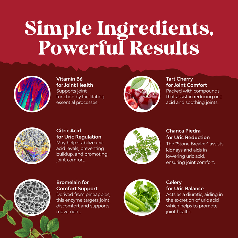 Nature's Craft, Формула с мочевой кислотой, 60 капсул (Товар снят с продажи) 