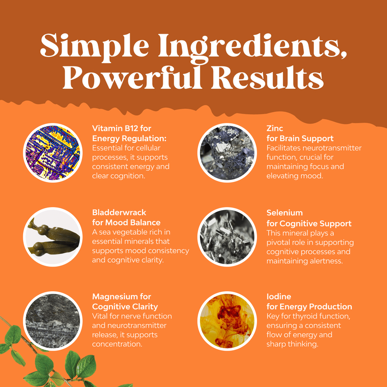 Nature's Craft, комплекс для щитовидной железы, 60 капсул