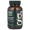 Gaia Herbs, эхинацея, 60 веганских капсул