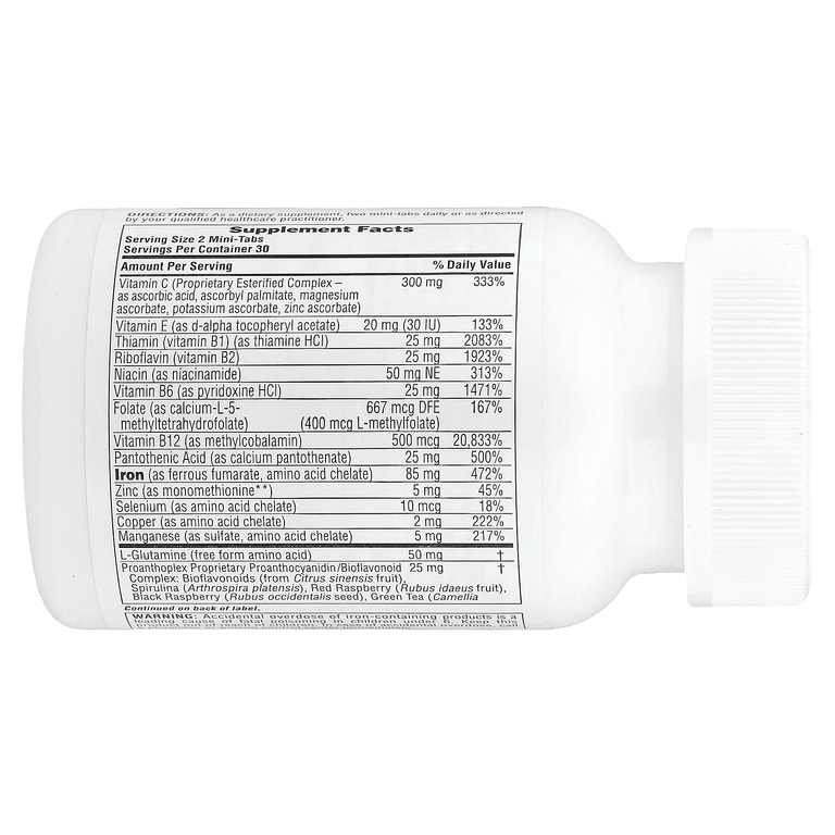 NaturesPlus, витаминно-минеральная добавка с железом, 60 мини-таблеток медленного высвобождения