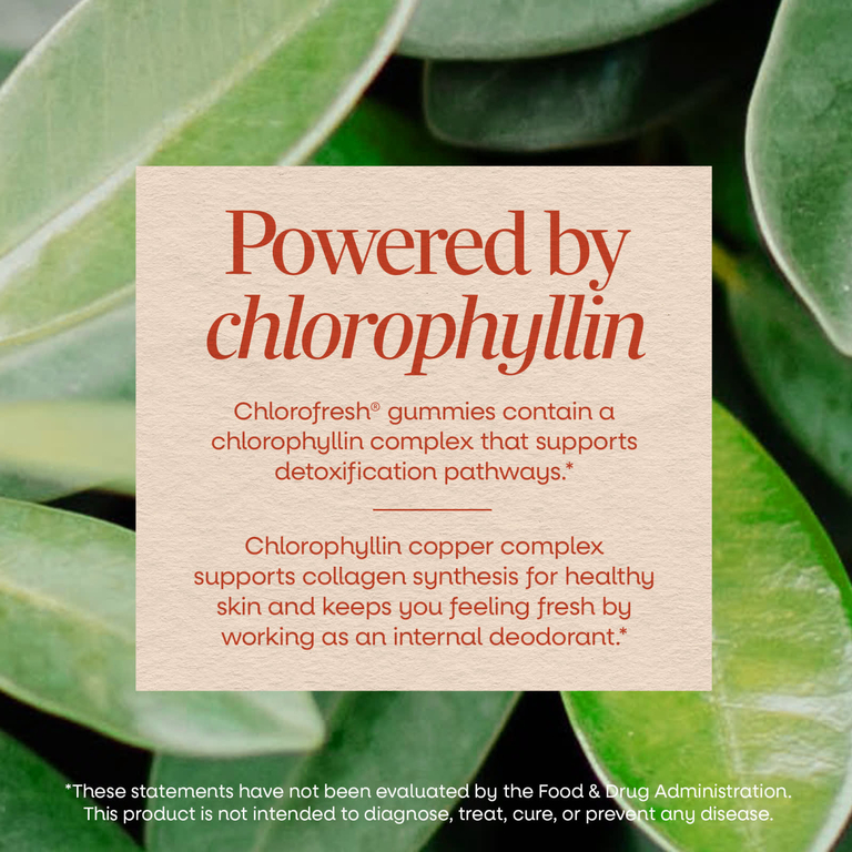 Nature's Way, Chlorofresh®, жевательная таблетка, со вкусом садовых фруктов, 60 жевательных таблеток (50 мг в 1 жевательной таблетке)