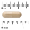 Swanson Vitamins, Хвощ, 500 мг, 90 капсул