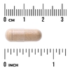 Swanson Vitamins, Железистые яичники, 250 мг, 60 капсул