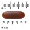 Swanson Vitamins, подсолнечный лецитин, 90 капсул (1200 мг в 1 капсуле)