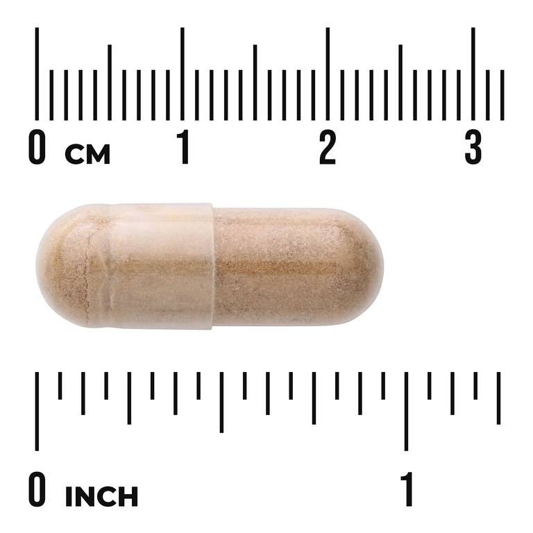 Swanson Vitamins, Аргентинская сушеная говяжья печень, 500 мг, 120 капсул