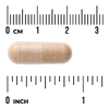 Swanson Vitamins, Почечные железы, 500 мг, 60 капсул