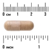 Swanson Vitamins, Вилочковая железа, 500 мг, 60 капсул