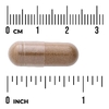 Swanson Vitamins, Травяная очанка, 100 капсул