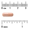 Swanson Vitamins, Pycnogenol®, 50 мг, 50 капсул