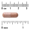 Swanson Vitamins, экстракт сосновой коры, стандартизованный, 50 мг, 100 капсул