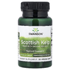 Swanson Vitamins, шотландские бурые водоросли, 30 растительных капсул