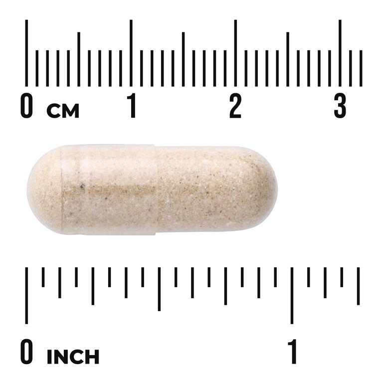 Swanson Vitamins, Лиофилизированное вещество для костного мозга, 500 мг, 60 капсул (Товар снят с продажи) 