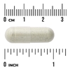 Swanson Vitamins, альгинат натрия из бурых водорослей с листьями кинзы, 60 растительных капсул