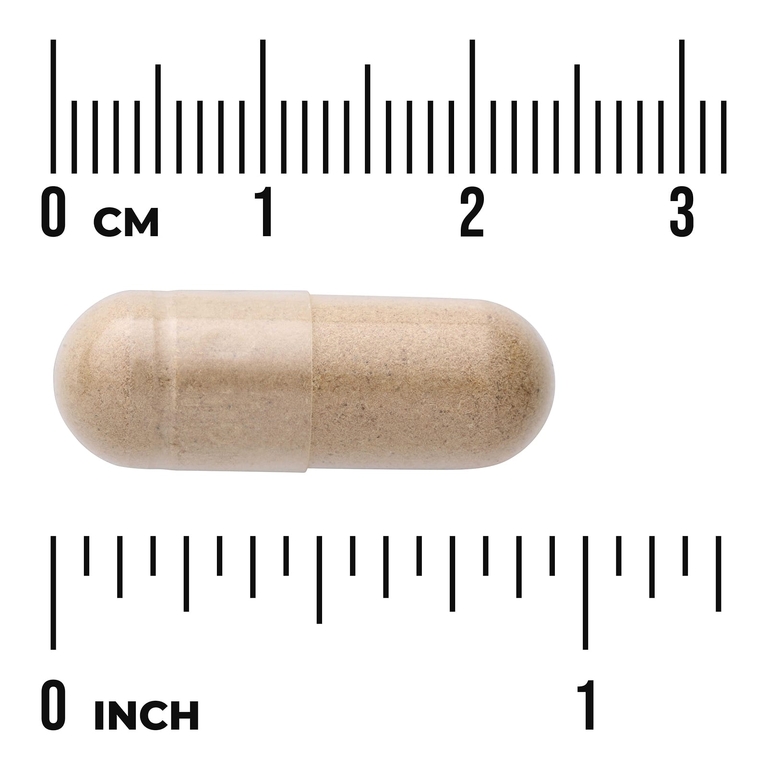 Swanson Vitamins, иглица колючая Full Spectrum®, 470 мг, 100 капсул