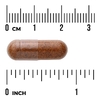 Swanson Vitamins, Кайенский перец с корневищем имбиря, ягодами боярышника и лецитином, 250 растительных капсул