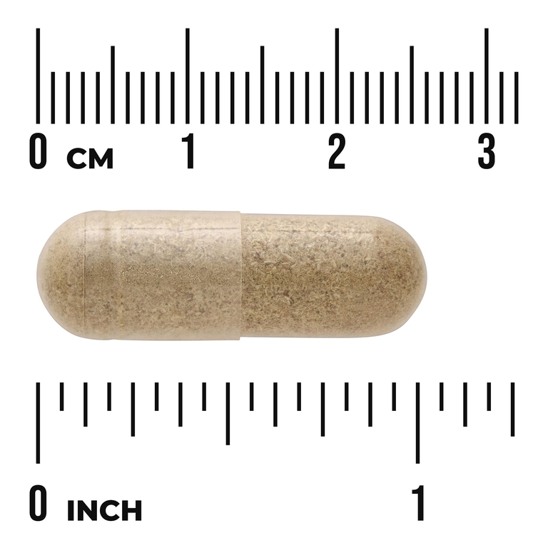 Swanson Vitamins, Иссоп, 450 мг, 100 капсул