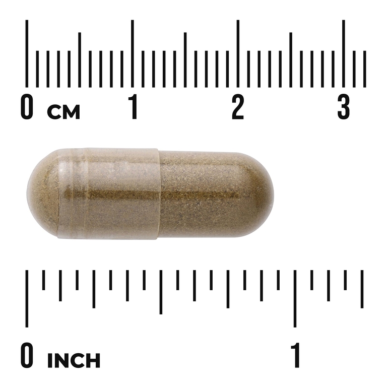 Swanson Vitamins, Лист сенны, 500 мг, 100 капсул