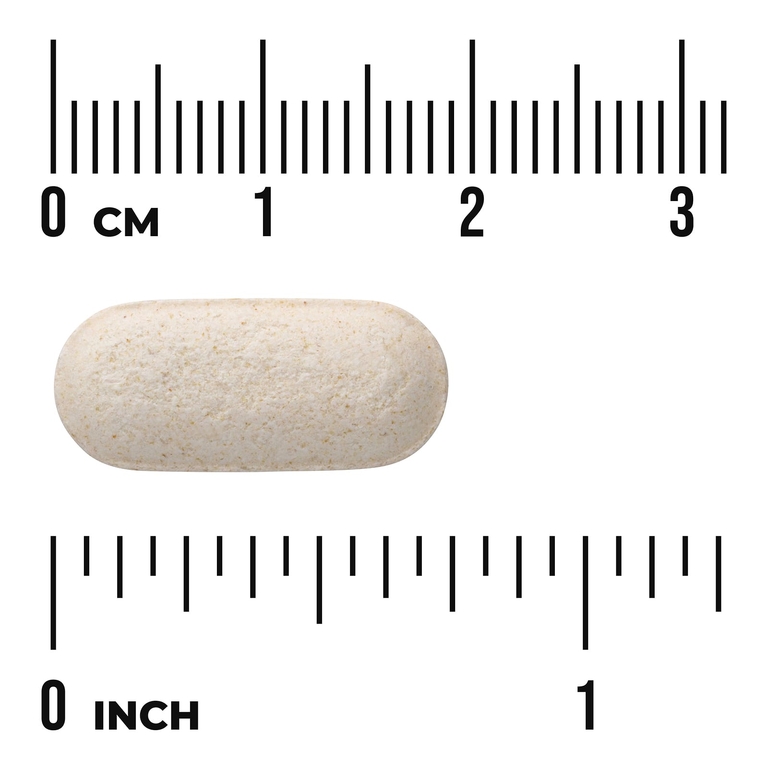 Swanson Vitamins, LipoSan Ultra®, хитозан, 240 капсул (500 мг в 1 капсуле)