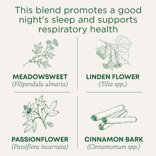 Traditional Medicinals, Organic Cold Care PM, таволга и корица, без кофеина, 16 чайных пакетиков в упаковке, 32 г (1,13 унции)