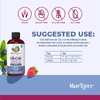 MaryRuth's, Vegan Liquid Iron, пренатальный и послеродовой, ягодный, 450 мл (15,22 жидк. унц.)