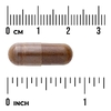 Swanson Vitamins, постбиотическая иммунная формула с Epicor®, 500 мг, 60 капсул