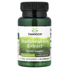 Swanson Vitamins, экстракт ламинарии, 60 капсул (Товар снят с продажи) 