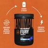 Animal, Fury Essentials, предтренировочный комплекс, со вкусом голубой малины, 495 г (1,09 фунта)
