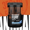 Animal, Fury Essentials, предтренировочный комплекс, со вкусом голубой малины, 495 г (1,09 фунта)