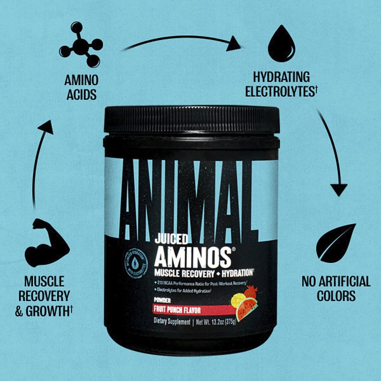 Animal, Juiced Aminos в порошке, фруктовый пунш, 375 г (13,2 унции)