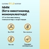California Gold Nutrition, NMN, 175 мг, 180 растительных капсул