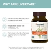 Himalaya, LiverCare, 42 вегетарианские капсулы