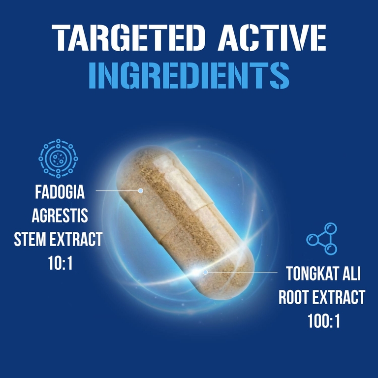 EVLution Nutrition, эврикома длиннолистая + фадогия агрестис, 60 вегетарианских капсул