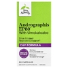 Terry Naturally, Andrographis EP80™ с умкалоабо, 60 капсул