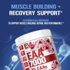 EVLution Nutrition, EAA 7000, добавка с арбузным вкусом, 282 г (9,9 унции)