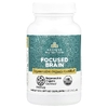 Ancient Nutrition, Focused Brain, мозг, 90 капсул