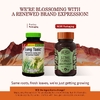 Herbs Etc., Lung Tonic™, 120 капсул