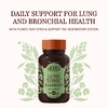 Herbs Etc., Lung Tonic™, 120 капсул